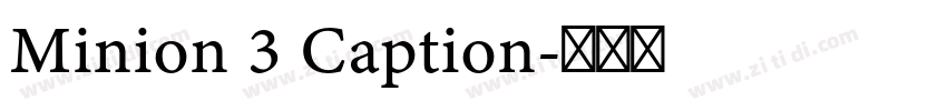 Minion 3 Caption字体转换